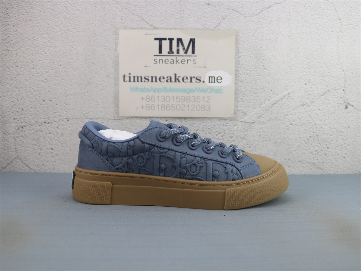 Stone Island X DIOR B33 Skateboard Shoes Men Low-Top Blue